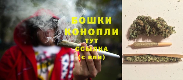 мяу мяу мука Елабуга