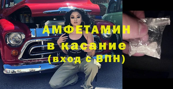 мяу мяу мука Елабуга