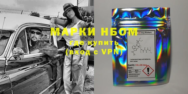 стаф Заводоуковск