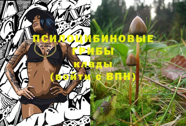 мяу мяу мука Елабуга