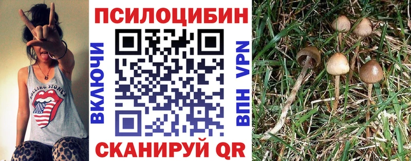 Галлюциногенные грибы GOLDEN TEACHER  Купить  Звенигород 